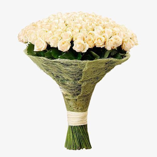 Букет 151 роза Шампань 60 см