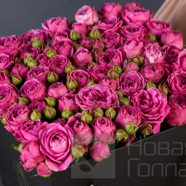 Красная коробка-шкатулка с розовой кустовой пионовидной розой №624