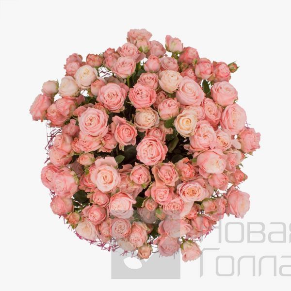 Букет 25 розовых пионовидных роз 40 см NEW