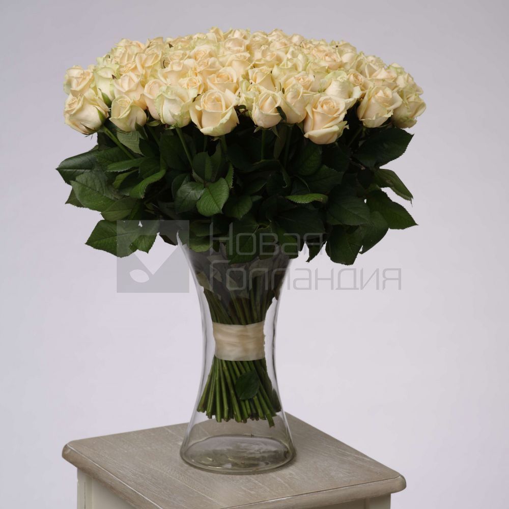 303 кремовые розы 50 см в 3 вазах