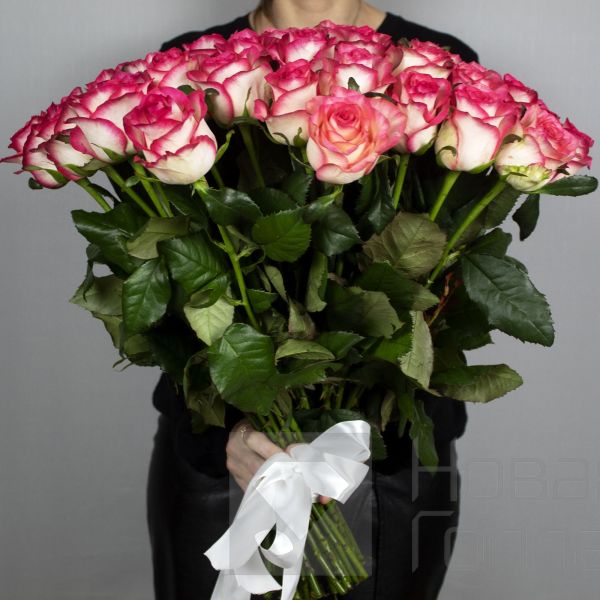 Букет 51 розовая роза 40 см