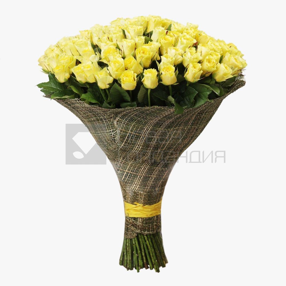 101 желтая роза 60 см
