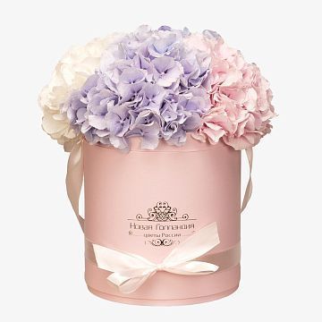 3 Гортензии микс в розовой маленькой шляпной коробке №806