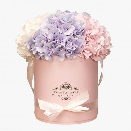 3 Гортензии микс в розовой маленькой шляпной коробке 