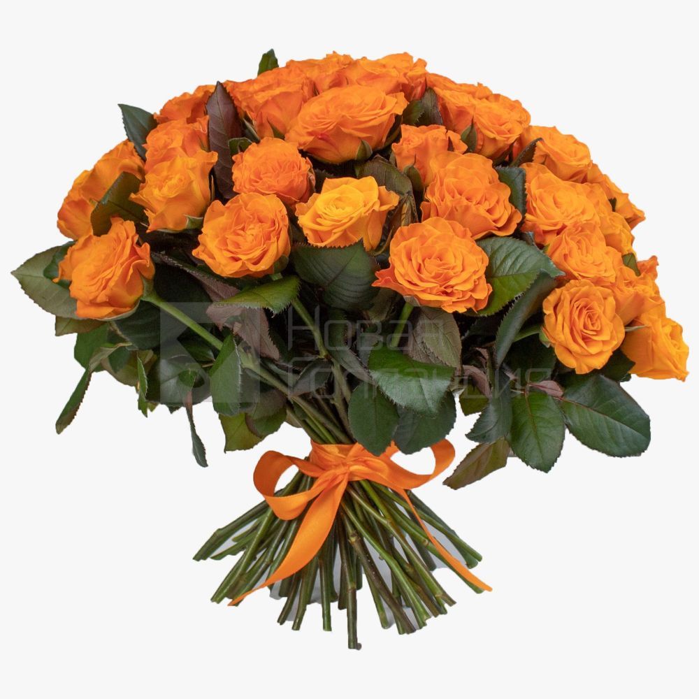 Букет 51 оранжевая роза 40см