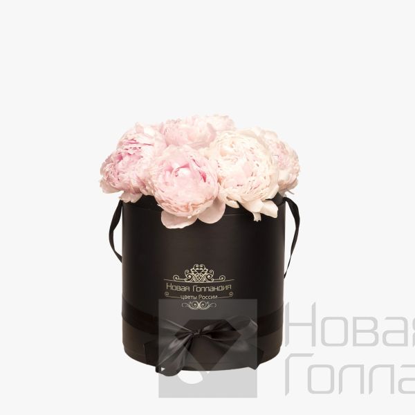 9 нежно-розовых пионов в черной шляпной коробке №428