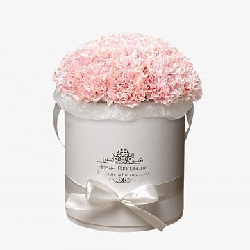 25 гвоздик в белой шляпной коробке №3 25 гвоздик в белой шляпной коробке №3