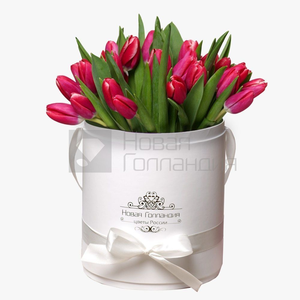 35 малиновых тюльпанов в белой шляпной коробке №226