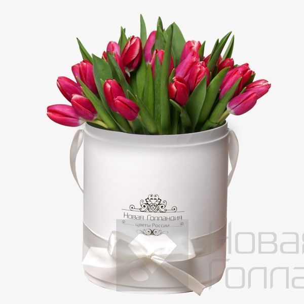 35 малиновых тюльпанов в белой шляпной коробке №226