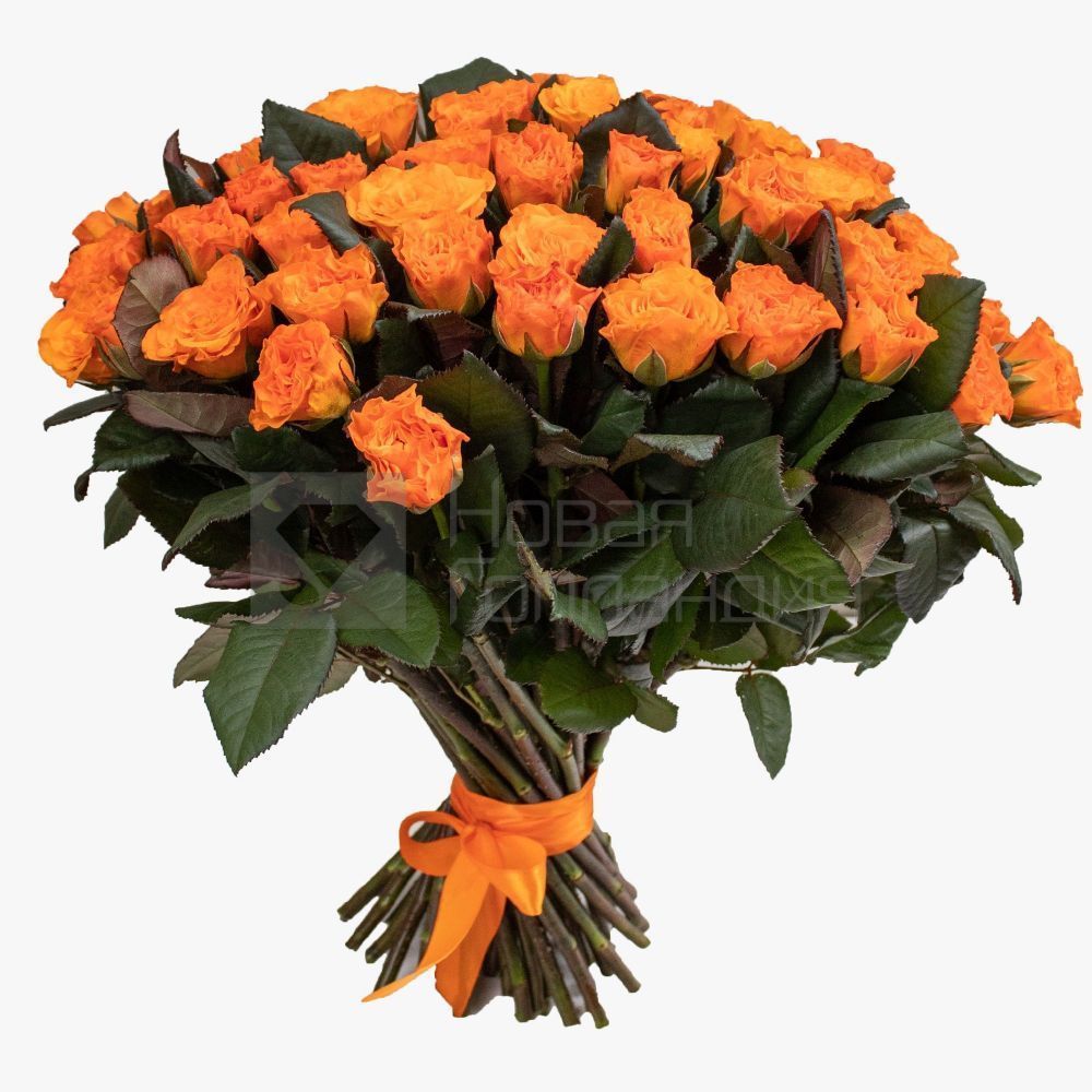 Букет 51 оранжевая роза 50см