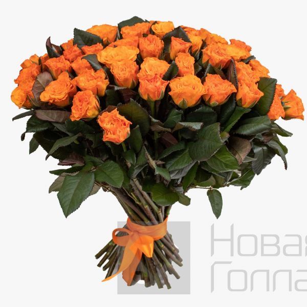 Букет 51 оранжевая роза 50см