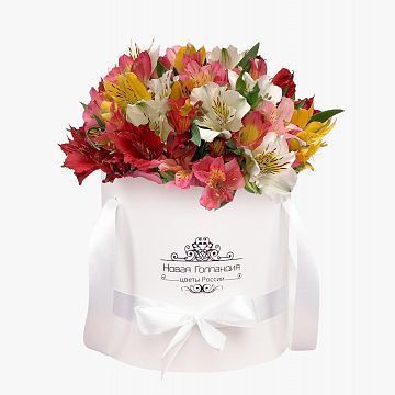 25 альстромерий микс в белой шляпной коробке №780