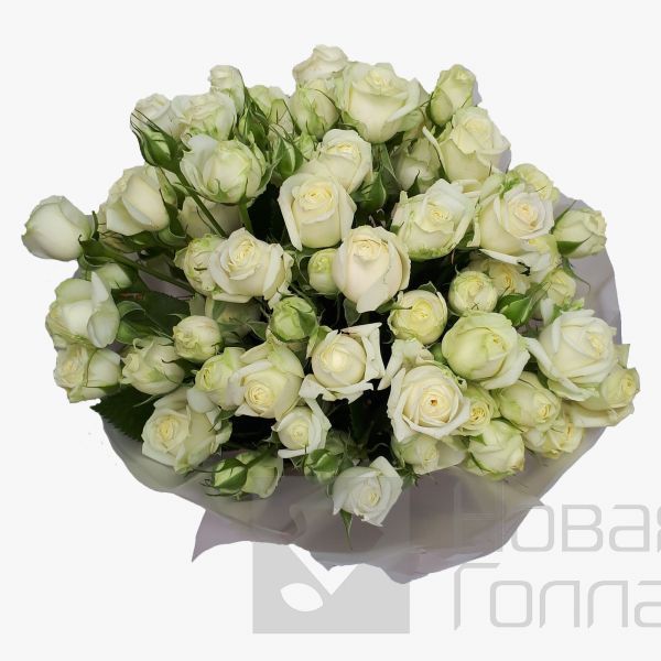Букет 25 кустовых роз Ваниль