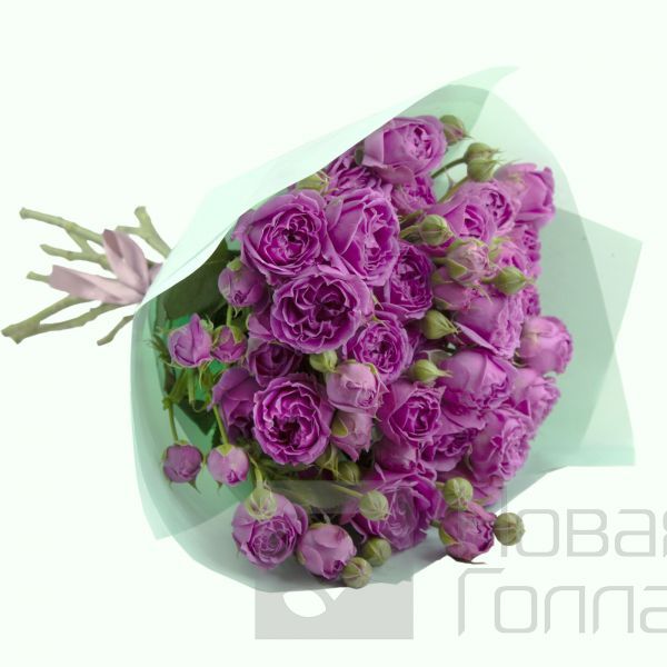 Букет из 9 розовых кустовых пионовидных роз 40 см