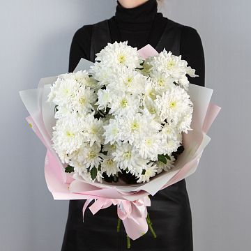 Букет из 7 белых кустовых хризантем Букет из 7 белых кустовых хризантем