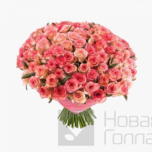 Букет 101 розовая роза 70 см