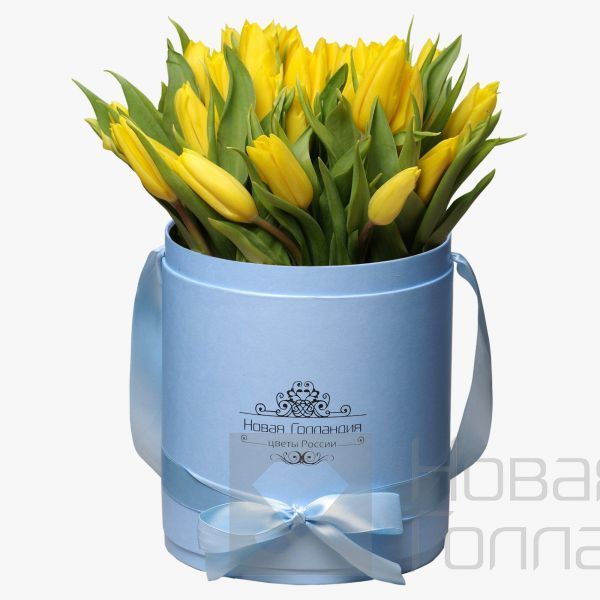35 желтых тюльпанов в голубой шляпной коробке №222