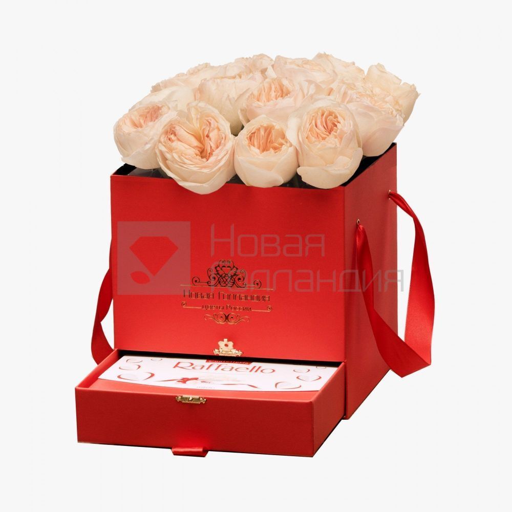 15 персиковых пионовидных роз Премиум в красной коробке шкатулке рафаэлло в подарок №385