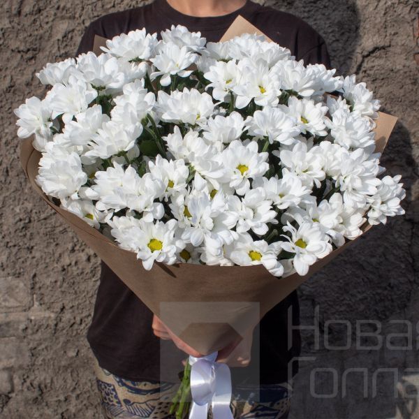 Букет 11 Белых Ромашковых хризантем