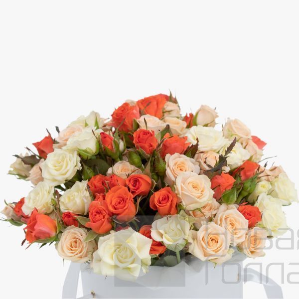 25 кустовых роз в шляпной белой коробке №816