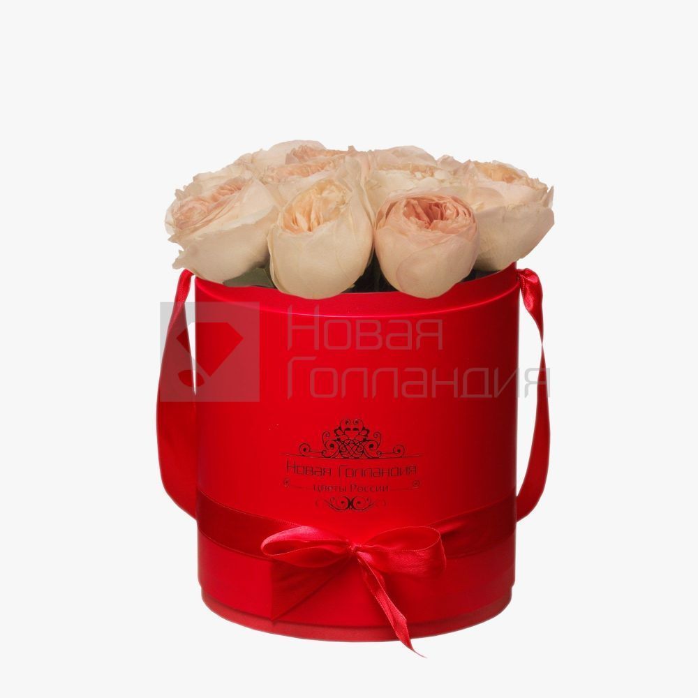 11 персиковых пионовидных роз Премиум в красной шляпной коробке №362