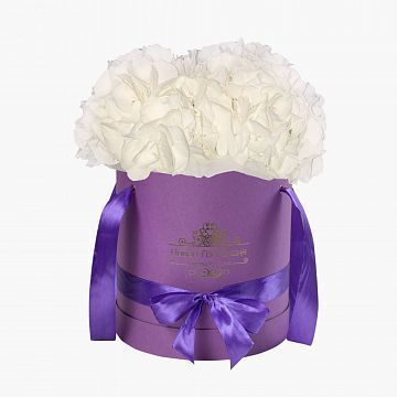 3 Белые Гортензии в сиреневой шляпной коробке 3 Белые Гортензии в сиреневой шляпной коробке