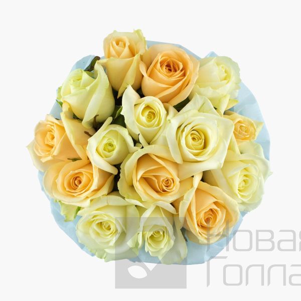 15 кремово-белых роз в маленькой белой коробке №755