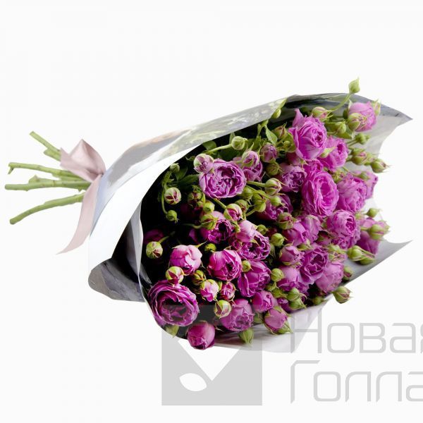 Букет из 11 розовых кустовых пионовидных роз 50 см в дизайнерской упаковке