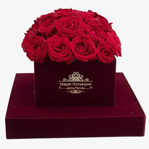 25 красных роз в бархатной шкатулке