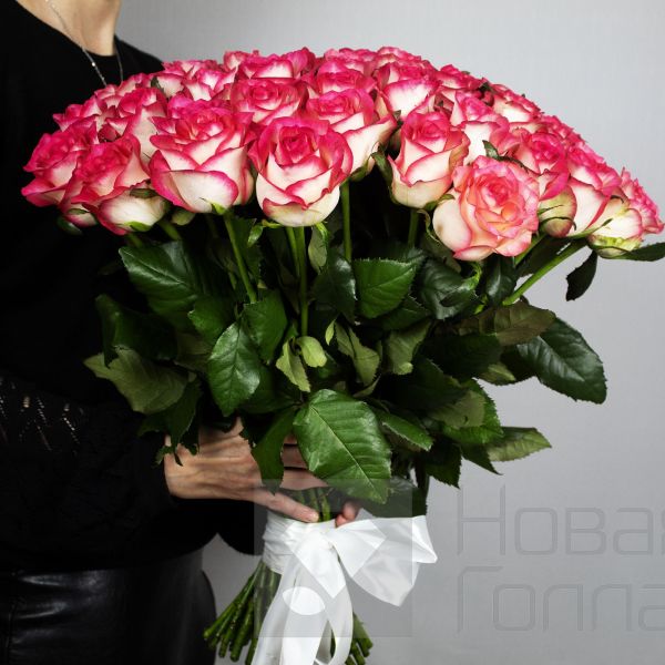 Букет 51 розовая роза 40 см