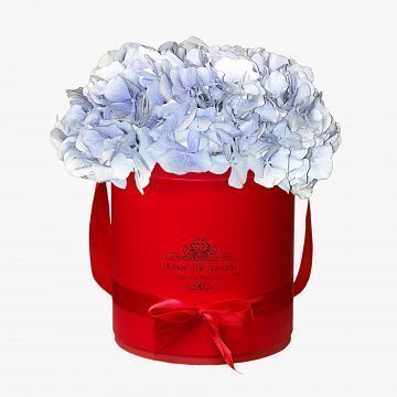 3 Голубые Гортензии в красной шляпной коробке