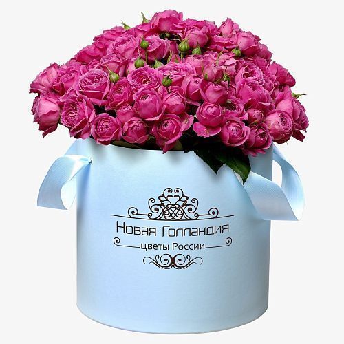 51 розовая кустовая пионовидная роза в большой голубой шляпной коробке 
