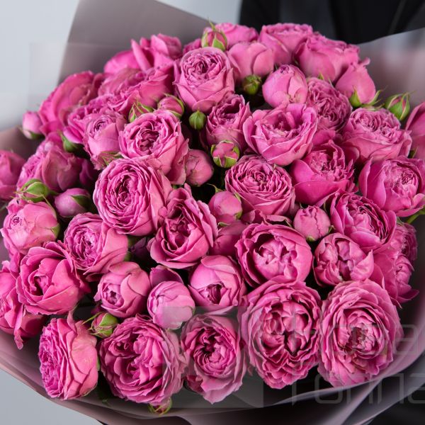 Букет из 17 розовых кустовых пионовидных роз 40 см