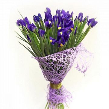 Букет 35 синих ирисов Букет 35 синих ирисов