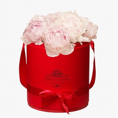 9 нежно-розовых пионов в красной шляпной коробке 