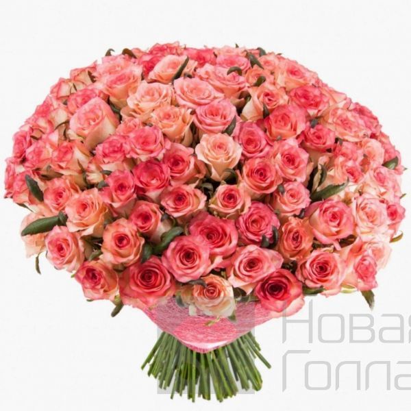 101 розовая роза 60 см
