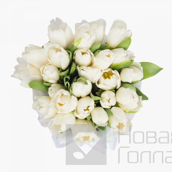 25 белых тюльпанов в белой маленькой шляпной коробке №520