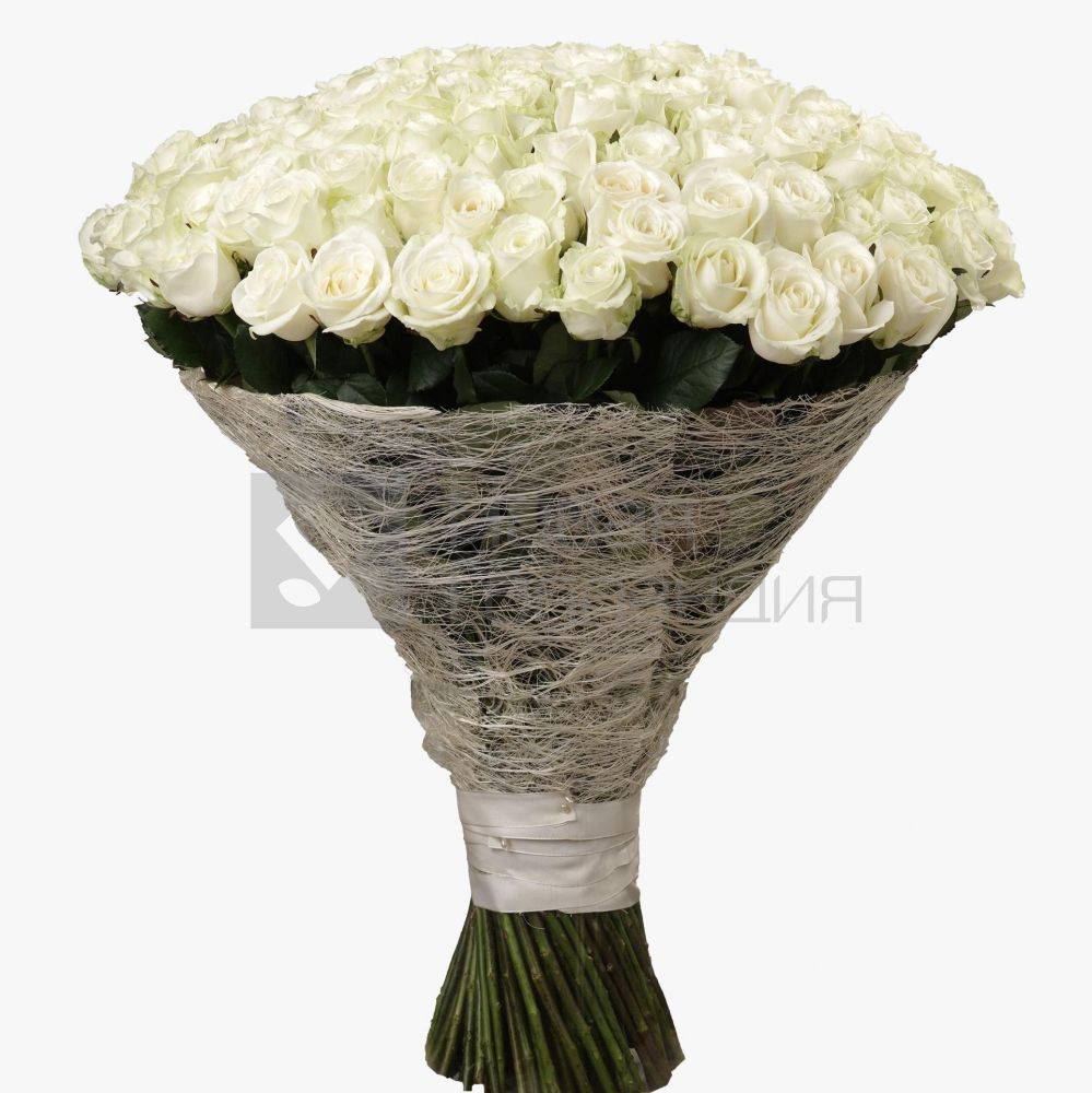 Букет 151 белая роза 60 см