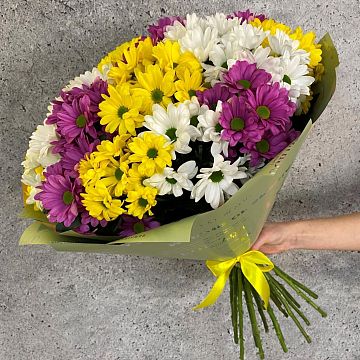 Букет 21 хризантема ассорти Букет 21 хризантема ассорти
