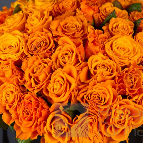 51 Оранжевая роза в большой черной шляпной коробке №335