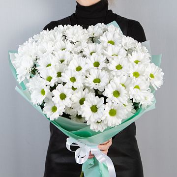 Букет 9 белых ромашковых хризантем