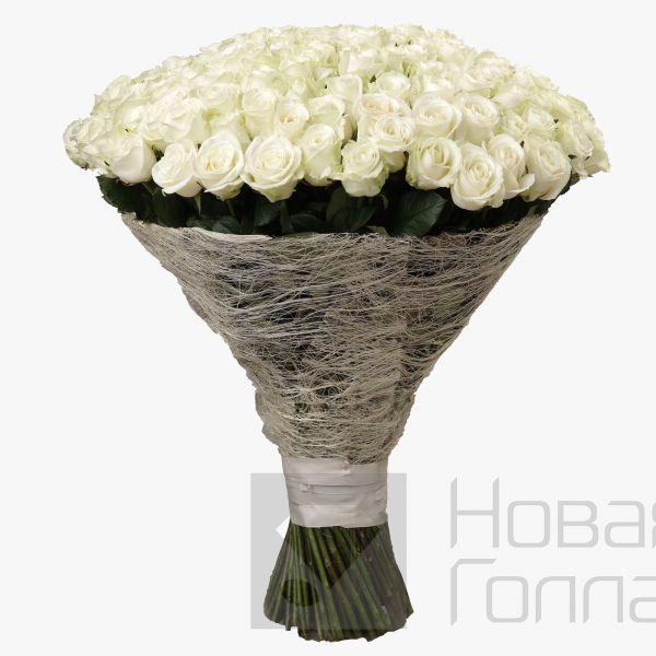 Букет из 151 белой розы 60 см