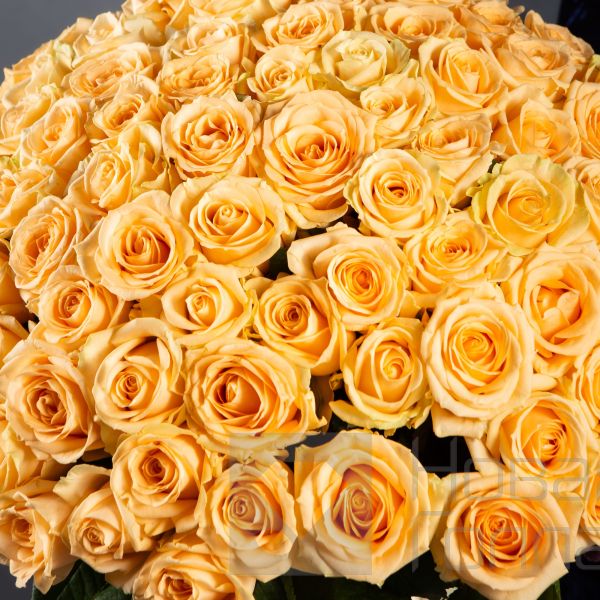 Букет 75 кремовых роз 40 см