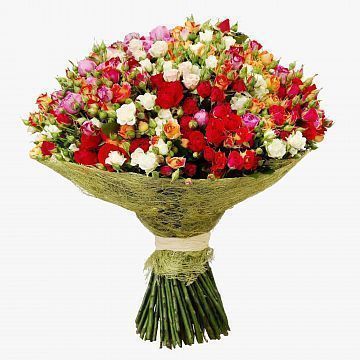 Букет из кустовых роз ассорти Новая Голландия