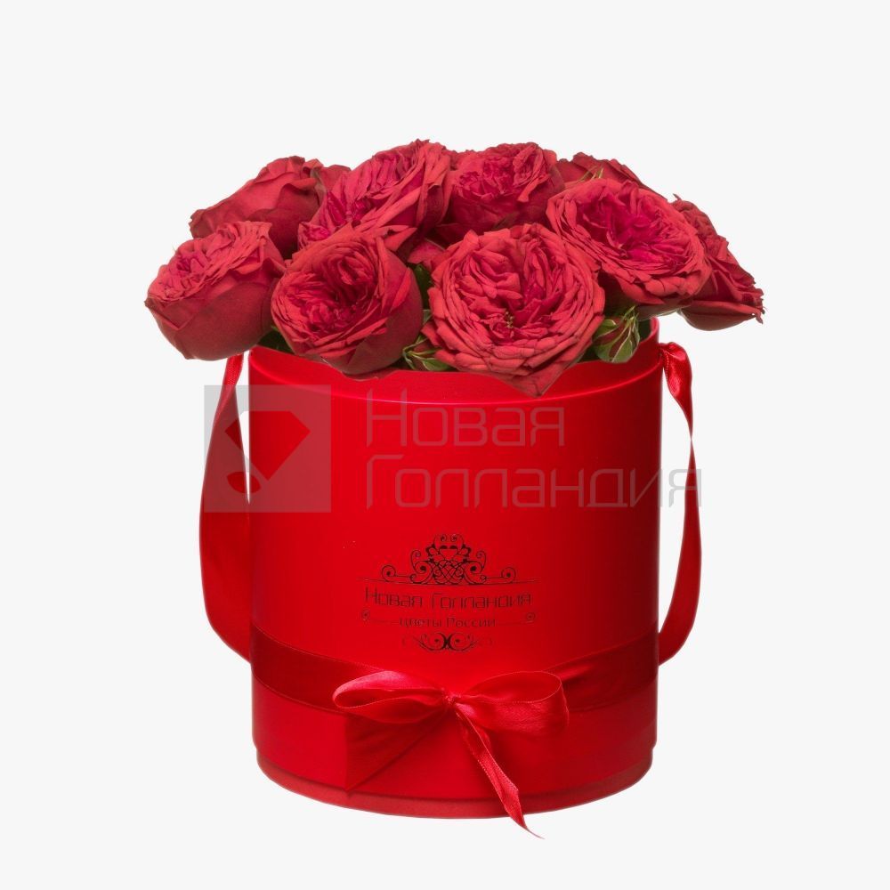 11 красных пионовидных роз Премиум в красной шляпной коробке №365