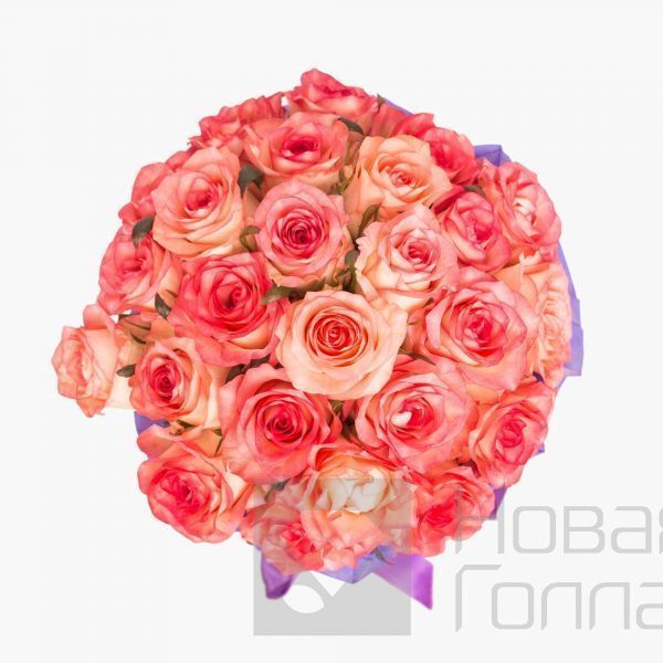 25 розовых роз в сиреневой шляпной коробке №160
