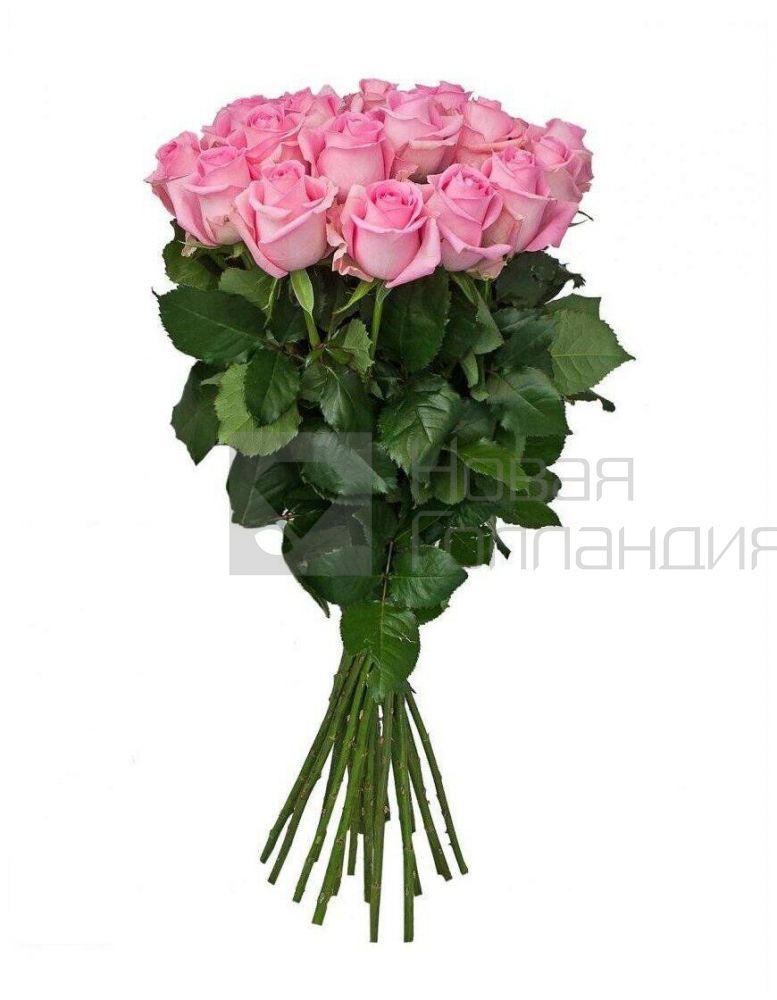 Букет 25 розовых роз Кения