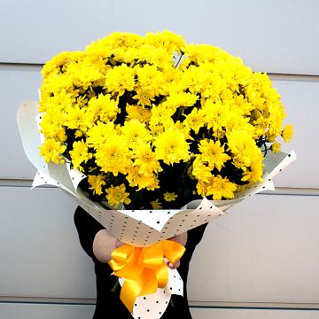 Букет Солнечные Хризантемы 19шт