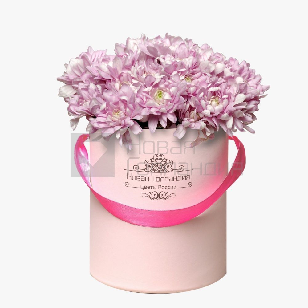 5 Розовых хризантем в маленькой розовой коробке №281