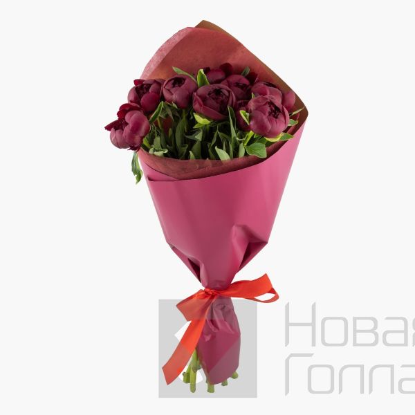 Букет 9 бордовых пионов